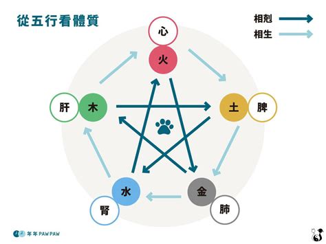 金木水火土屬性